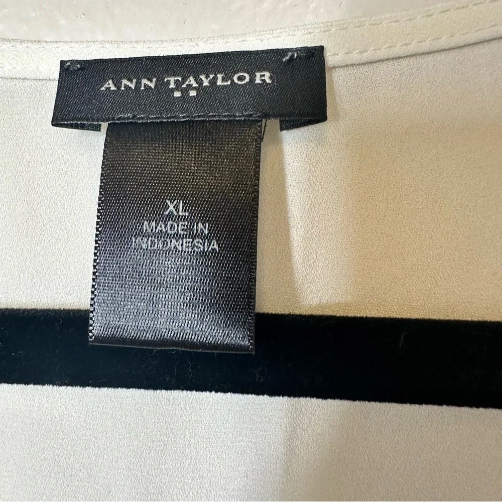 Ann Taylor Ruffle Women's Top